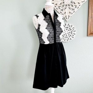 NWT Julia Jordan Lace Collar Dress